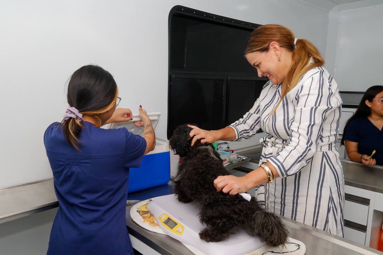 MEGA JORNADA DE ESTERILIZACIÓN GRATUITA EN MÉRIDA