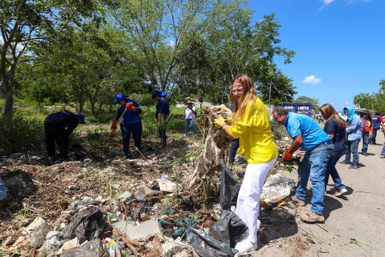 LIMPIEZA EN TERRENO DE CAUCEL