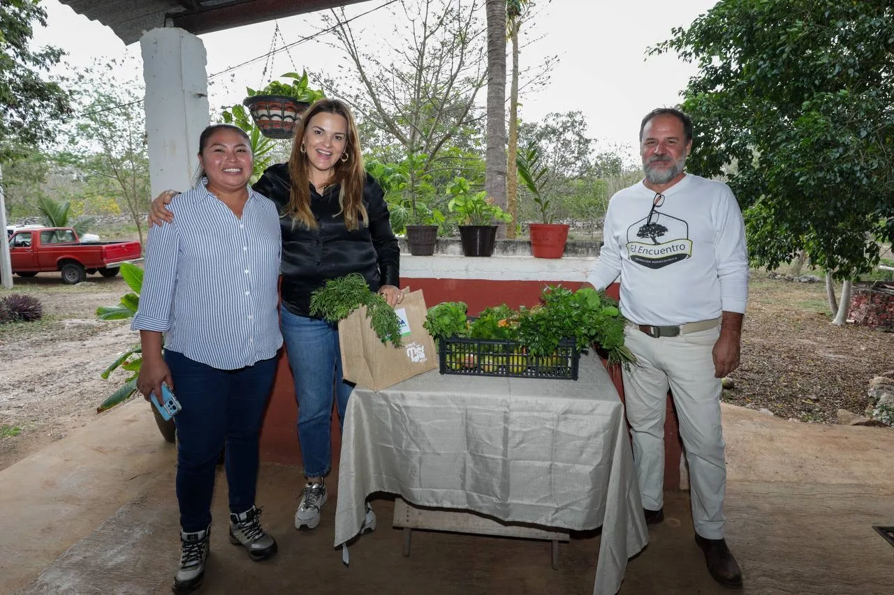 CONSOLIDAN MÉRIDA COMUNITARIA