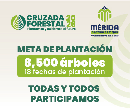 Captura de pantalla 2026-07-01 a la(s) 9.47.23 p.m.