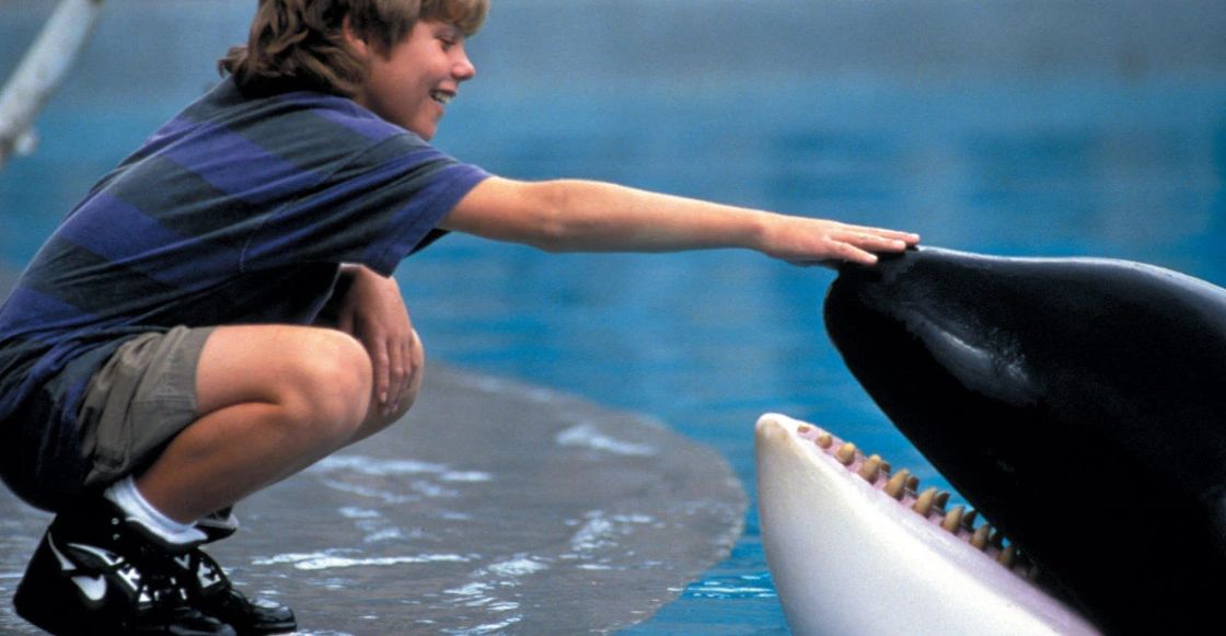 Habrá una nueva película de ‘Liberen a Willy’: esto es lo que sabemos